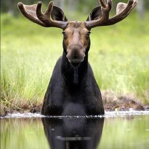 Meet your Posher, Michaela